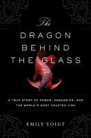 The_dragon_behind_the_glass